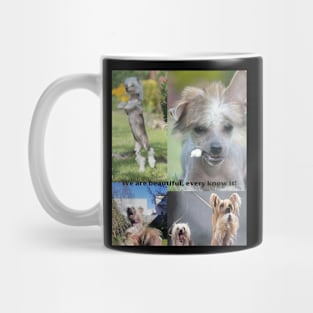 We are beautiful, everyone knows it! Mug